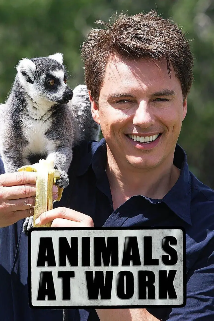 爆笑来袭！《动物打工记》：当萌宠们开始社畜生活，谁还不是个打工人？