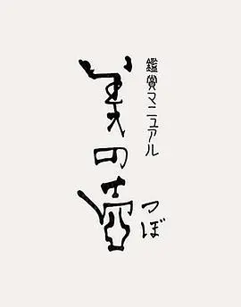 《美之壶》：探寻寻常中的不凡之美，一览令人惊叹的匠心与艺术品鉴之旅